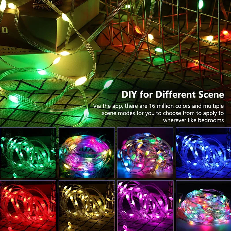 Twinkling LED Holiday Lights